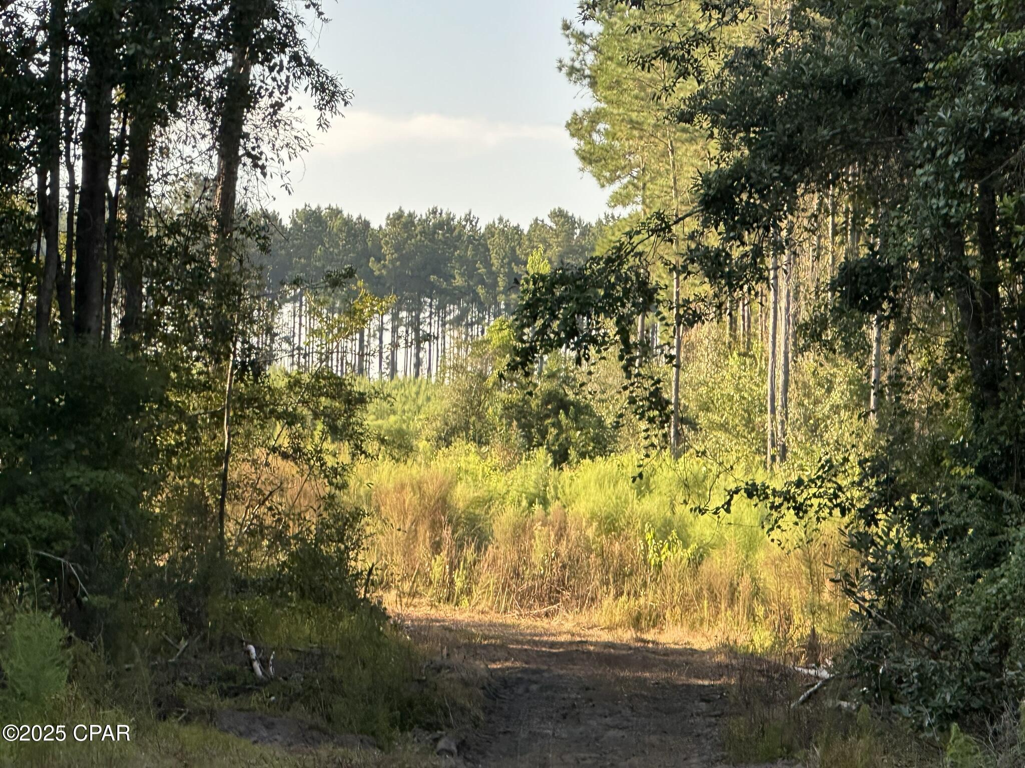 Other - Land