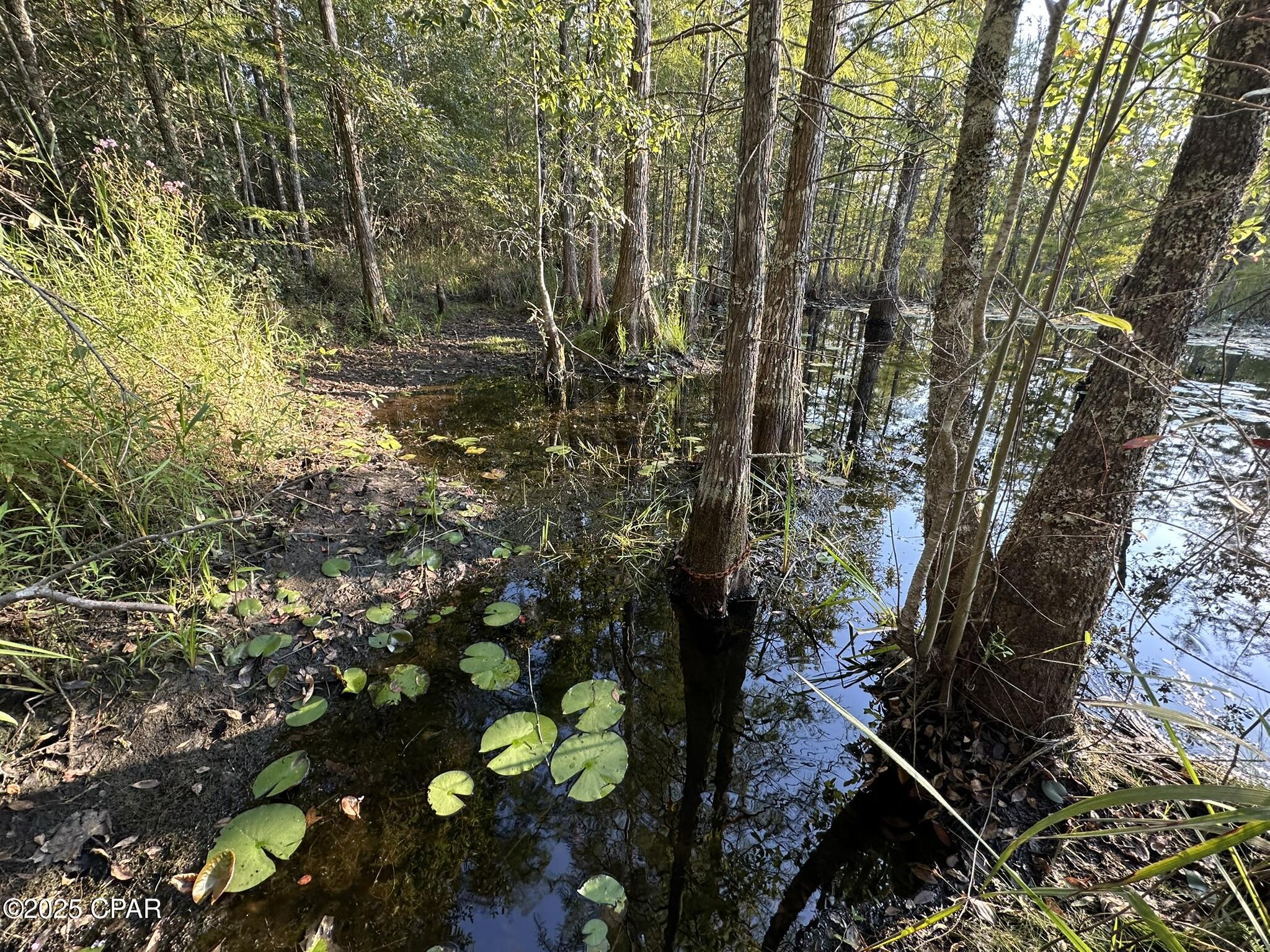 Other - Land