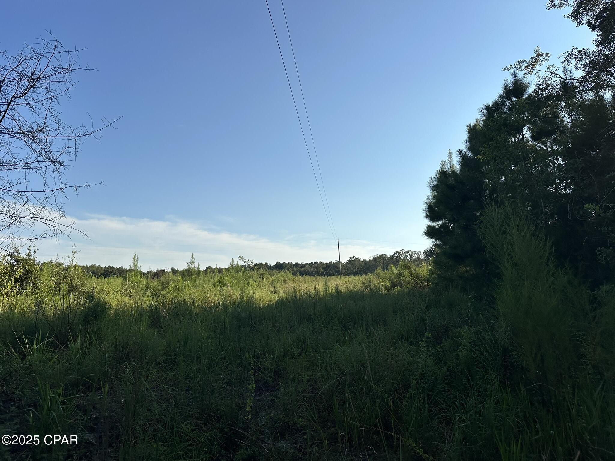 Other - Land
