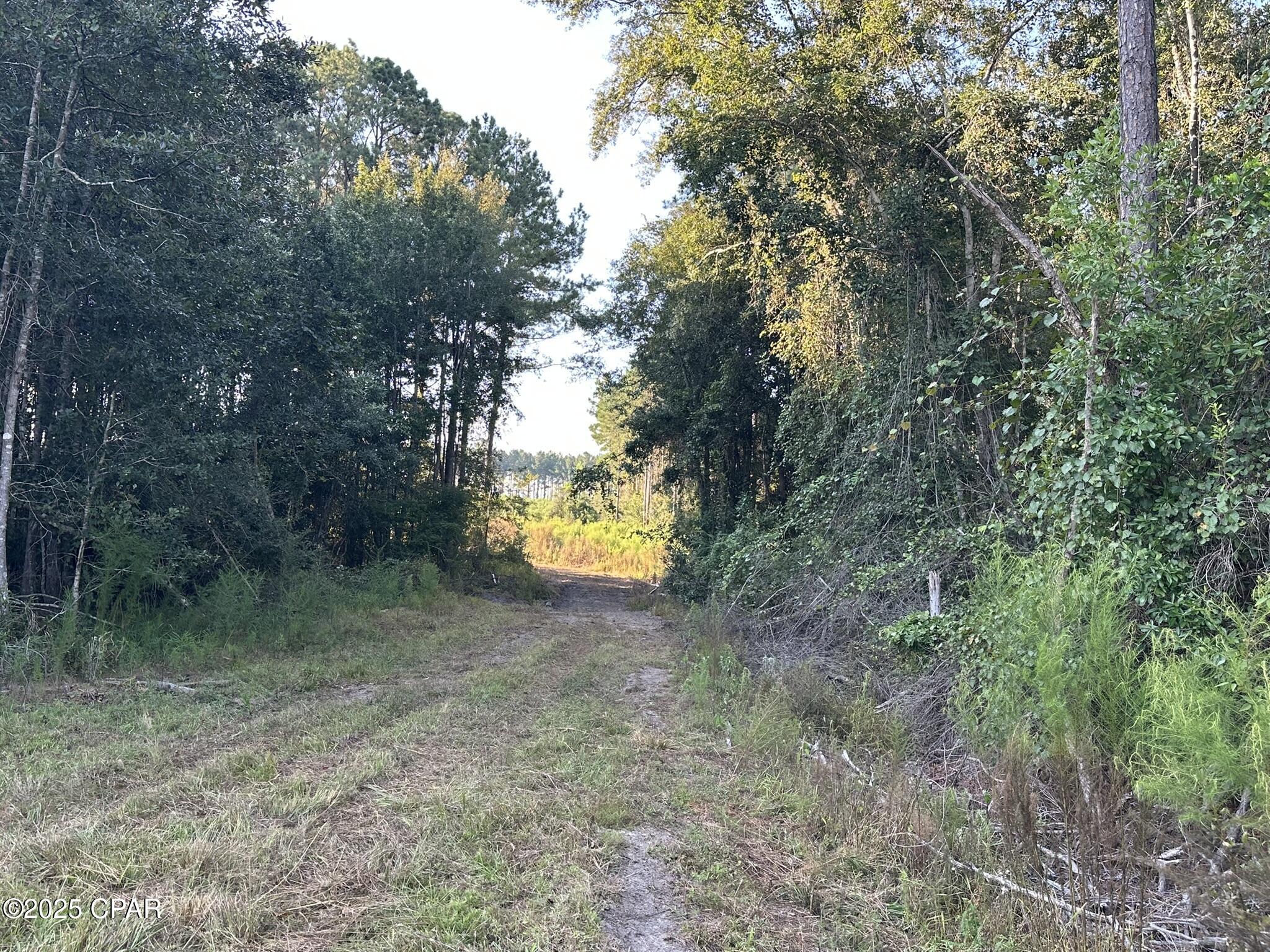 Other - Land