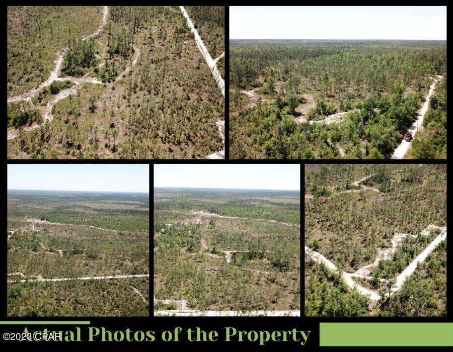 With world class, white sand beaches of Panama City Beach, just an hour away, this is an opportunity to own a great piece of rural Florida property. Bring your campers, boats, toys, and build plans to your own land, away from the city.
The five acres are partially wooded, mainly Pine trees and mixed hardwood. The lot has tremendous potential as it is zoned for a Single-family Residential (SFR) property. Road frontage has power, and with a little bit of land clearing you could be camping and playing on it right away. No known improvements are on the property.
In addition to Panama City's international airport, there is one private use airport within the city limits, and four additional private airports within 30 miles. Shopping nearby: Piggly Wiggly, Dollar General, Lynn Haven Shopping Center, and Panama City Square. As well as Northwest Florida Community Hospital, Lynn Haven Sports Complex, and Deep Springs Park.
Other attractions nearby: Center Lake, Cypress Springs, Florida Caverns State Park, North Florida Motorplex, and Orange Hill Gator farm.
All information, including lot lines, dimensions, uses, zoning, and access, are estimates and require buyer verification.