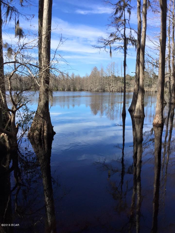 Beautiful 5-acre parcel close to Daniels Lake Park, known for it's exceptional bass fishing! Bring your horses too because it's also conveniently located near the Washington County Equestrian Center. Property is on Daniels Lake Dr. and 1/2 mile from the park with fabulous children's playground equipment. The park also has a public boat landing with great parking and RV camping. SEE PHOTOS!