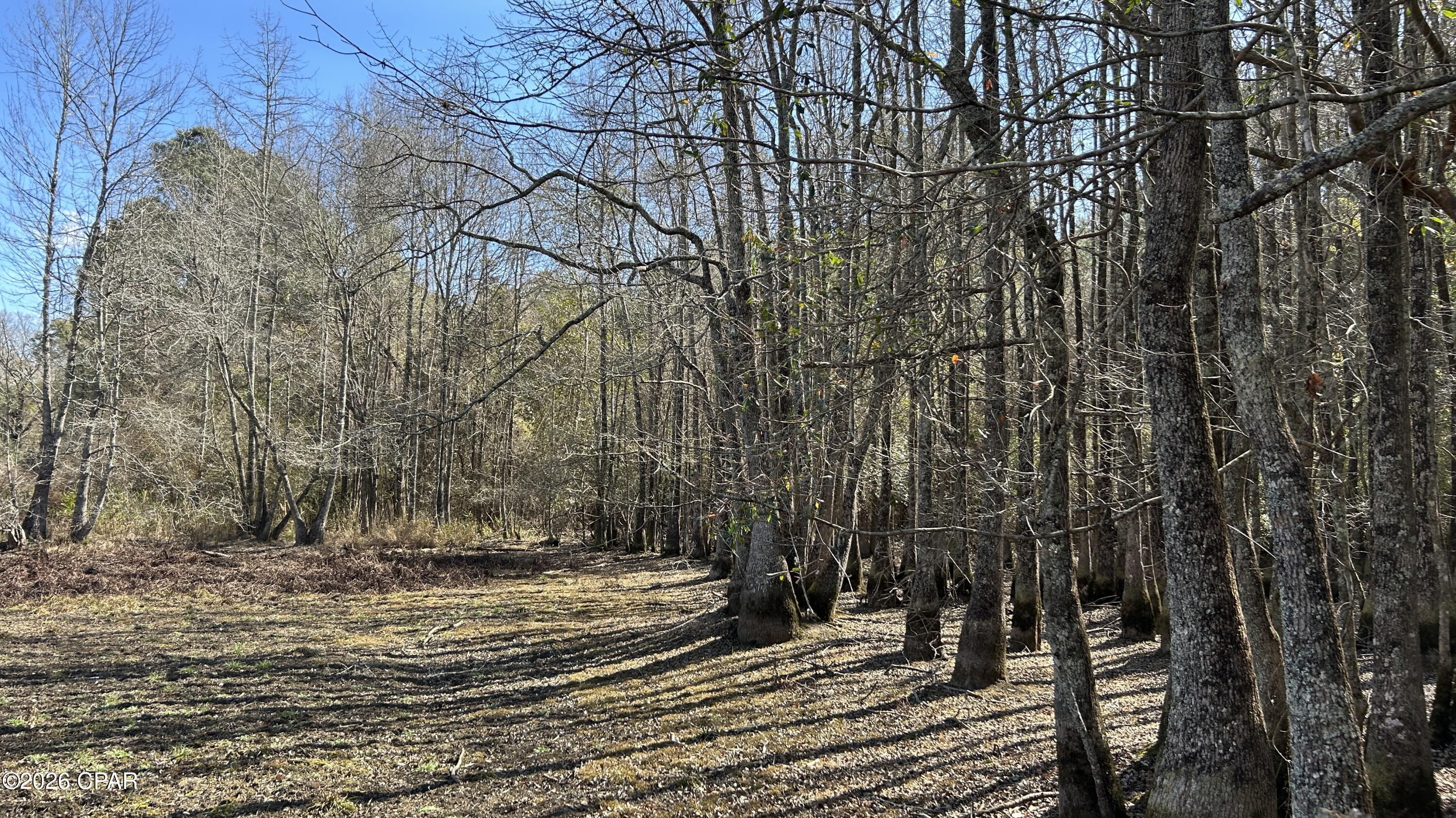Other - Land