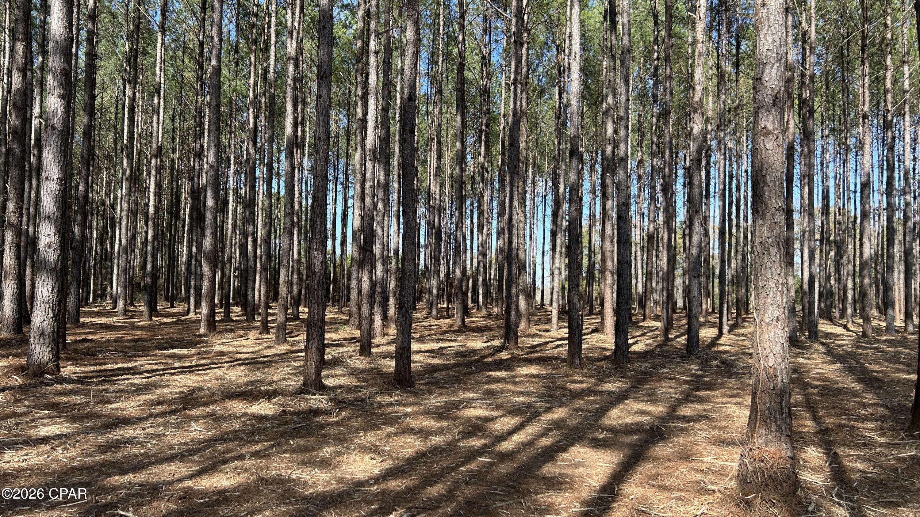 Other - Land