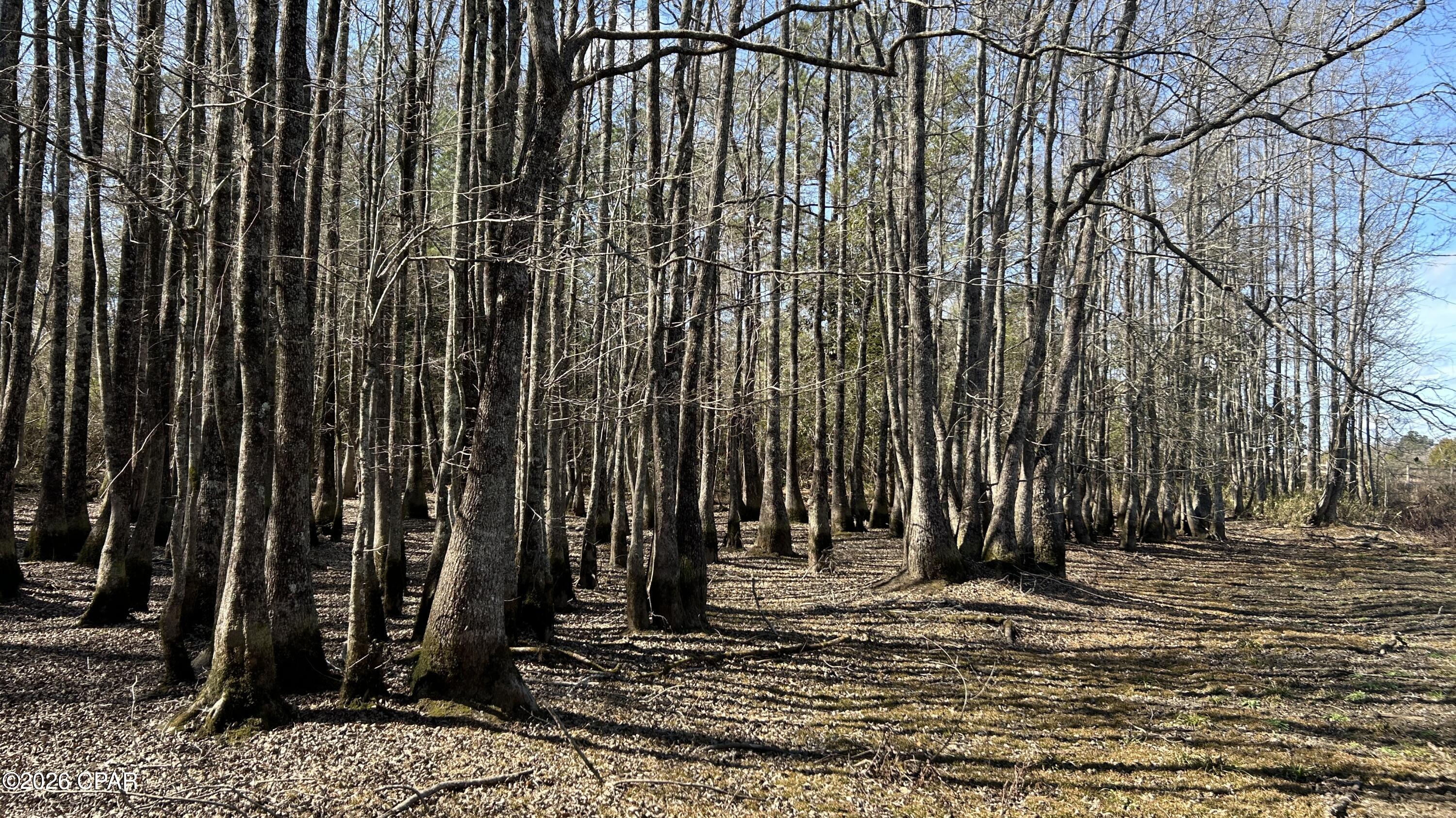 Other - Land