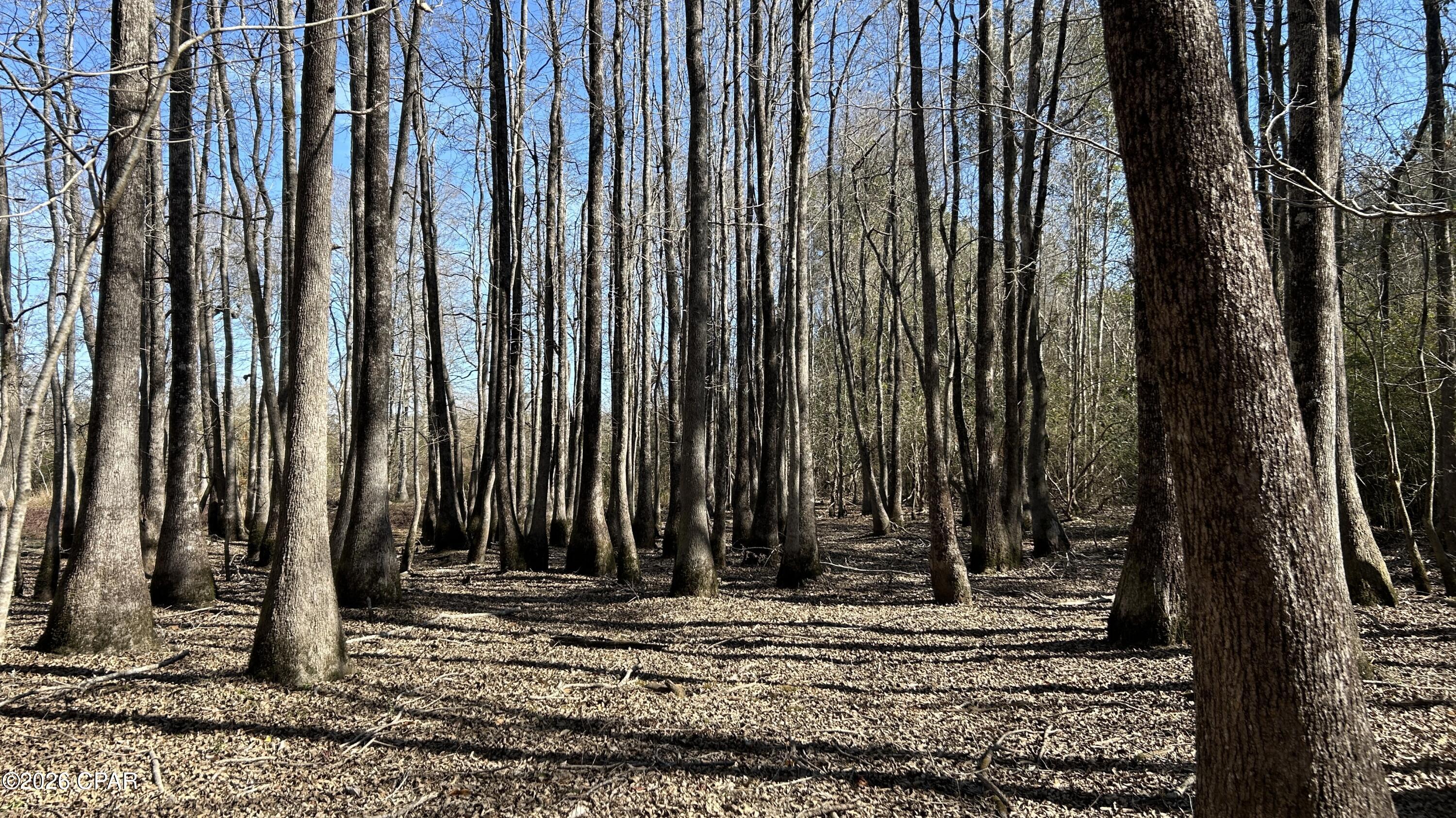 Other - Land