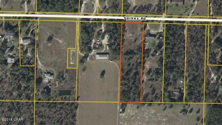 Beautiful Partially Cleared Residential Lot with nearby neighbors and community on a paved road.  Enjoy the country living private life while being near nearly everything important. Enjoy the Florida weather and beaches and come home to your own piece of land that is roomy enough to play kickball, soccer and more.  All info and measurements are approx. and buyer to verify all deemed important.  Find your space right here in this 2.5 +/- Acres of Residential land waiting to be loved by you.