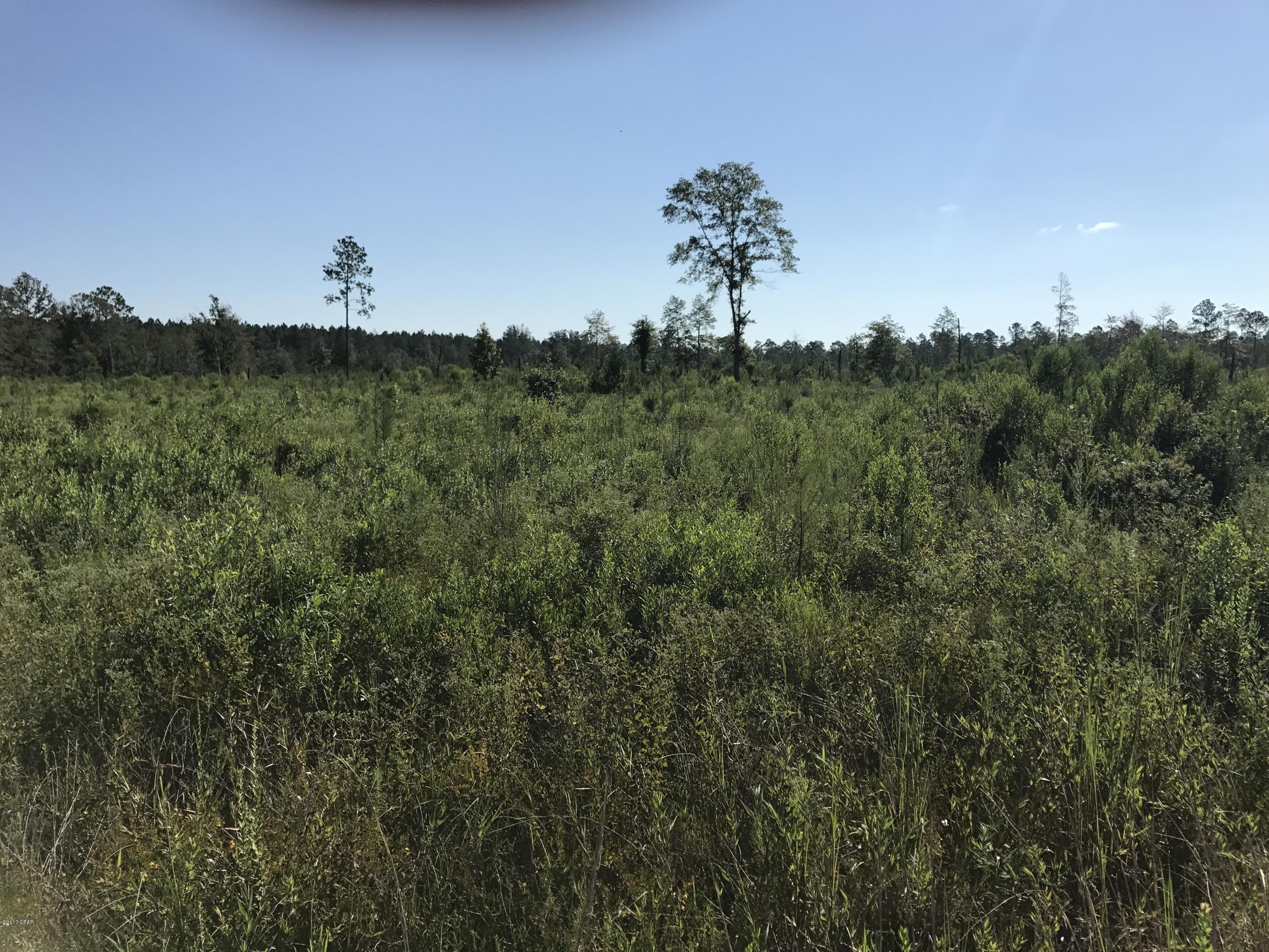 This land has been sprayed, burned, and replanted 1 year ago. Good timberland investment. This property consists of 2 parcels: 00000000-00-3522-000 (190 acres) 00000000-00-3506-0000 (38.8​​‌​​​​‌​‌​​​​‌​​‌​​​​‌‌ acres)