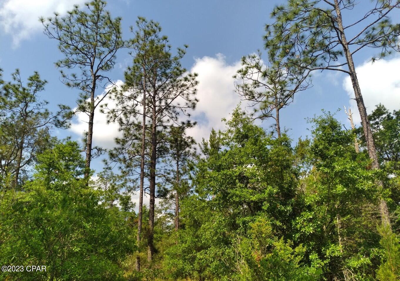 Leisure Lakes - Land