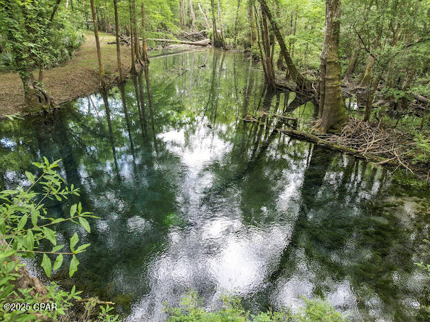 Parcel ID and Legal Description are coming soon. Property is presently being surveyed and divided to make a 90.9 acre parcel. One approximately mile of creek frontage!
This breathtaking property features two crystal clear natural springs flowing directly into Holmes Creek, offering the future owner exclusive access. Whether your'e seeking a serene conservation retreat or a prime opportunity for a water bottling venture, this property holds endless potential. Included is 50 plus acres of high and dry land ideal for a plant site or facility site. Conveniently located just off of Highway 79, you're only minutes from Panama City Beach and Interstate 10, providing excellent access for a business. Property could potentially be zoned commercial. 
It's truly one of a kind with limitless potential.