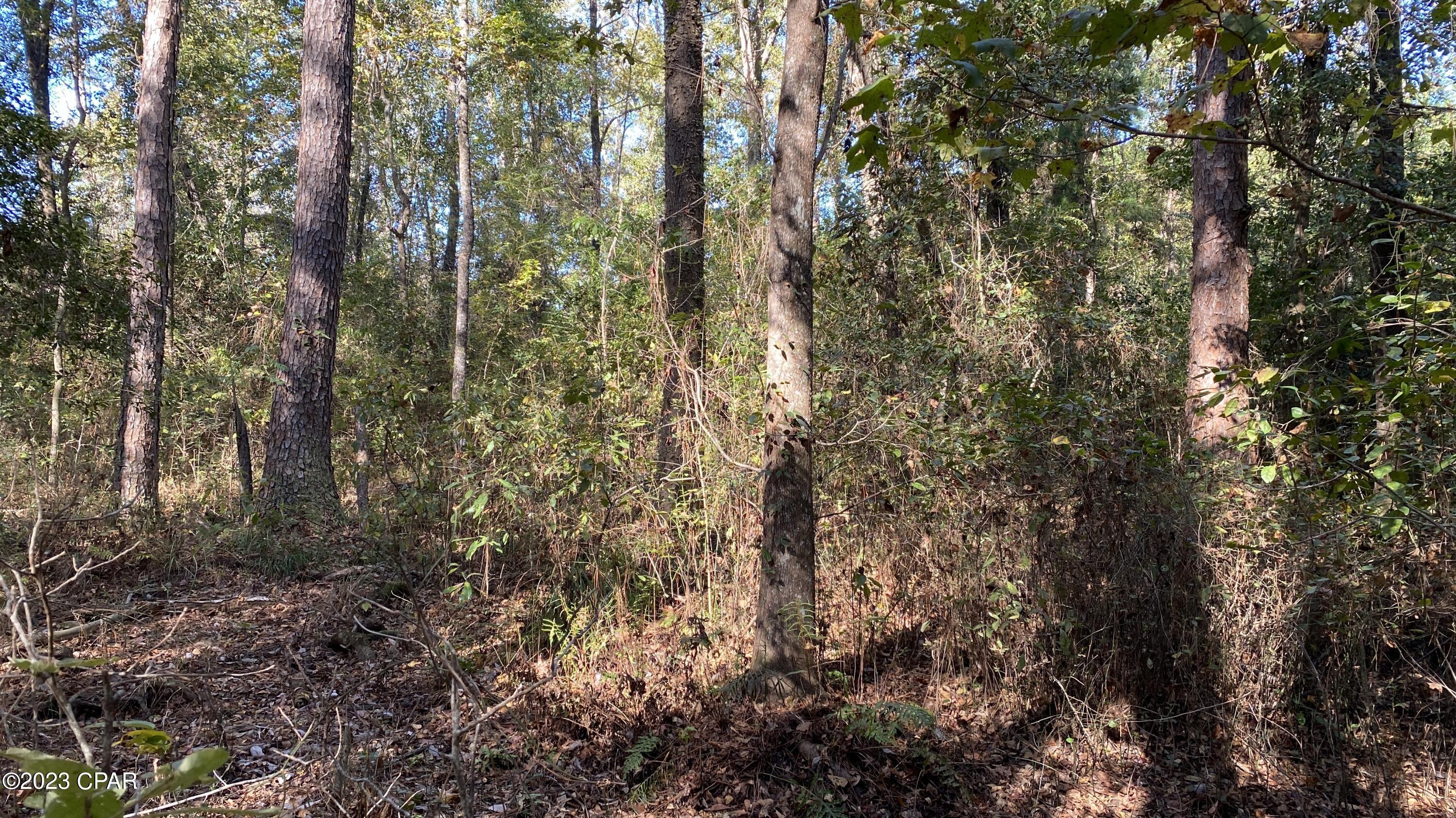 [No Recorded Subdiv] - Land