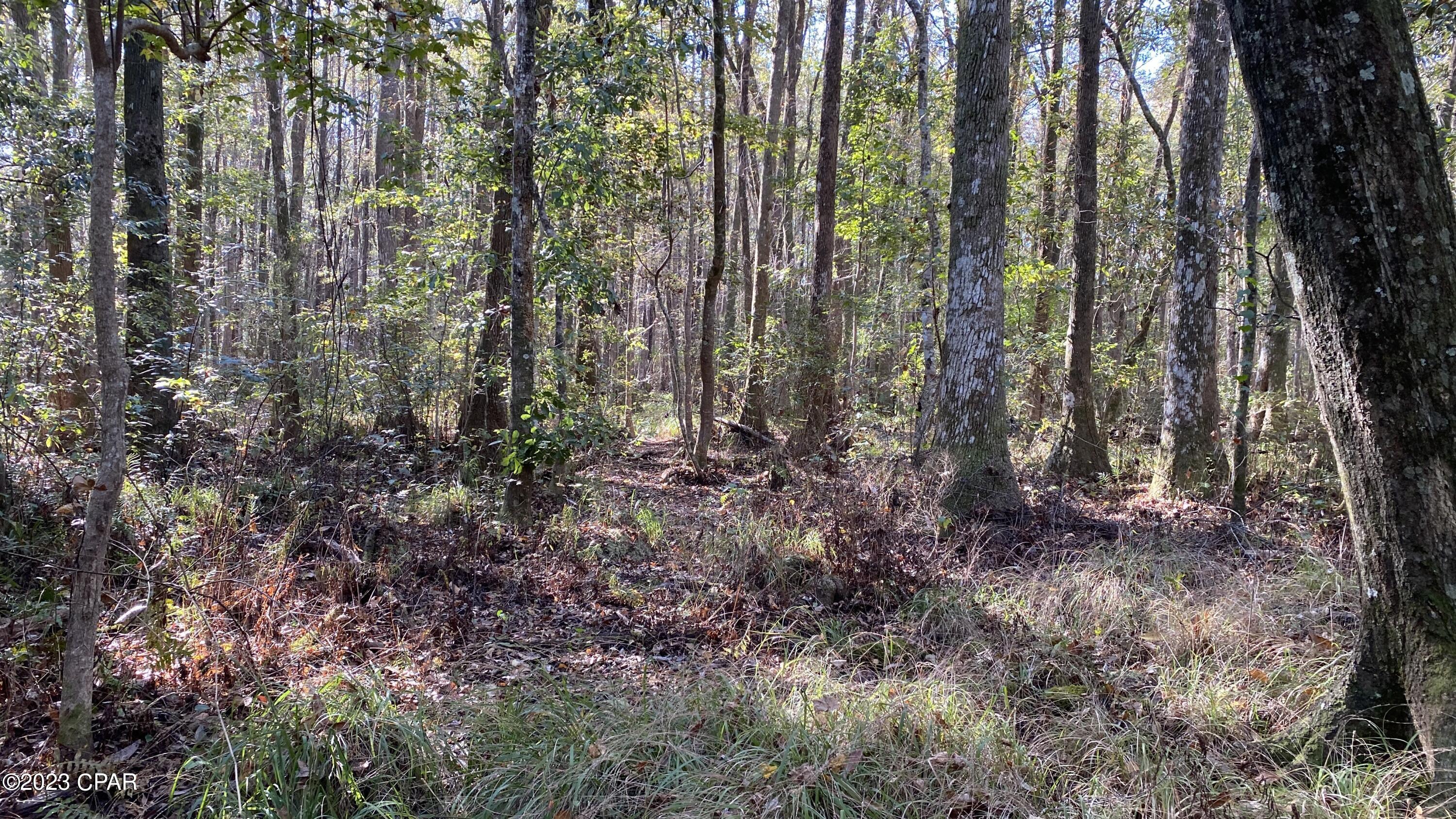 [No Recorded Subdiv] - Land