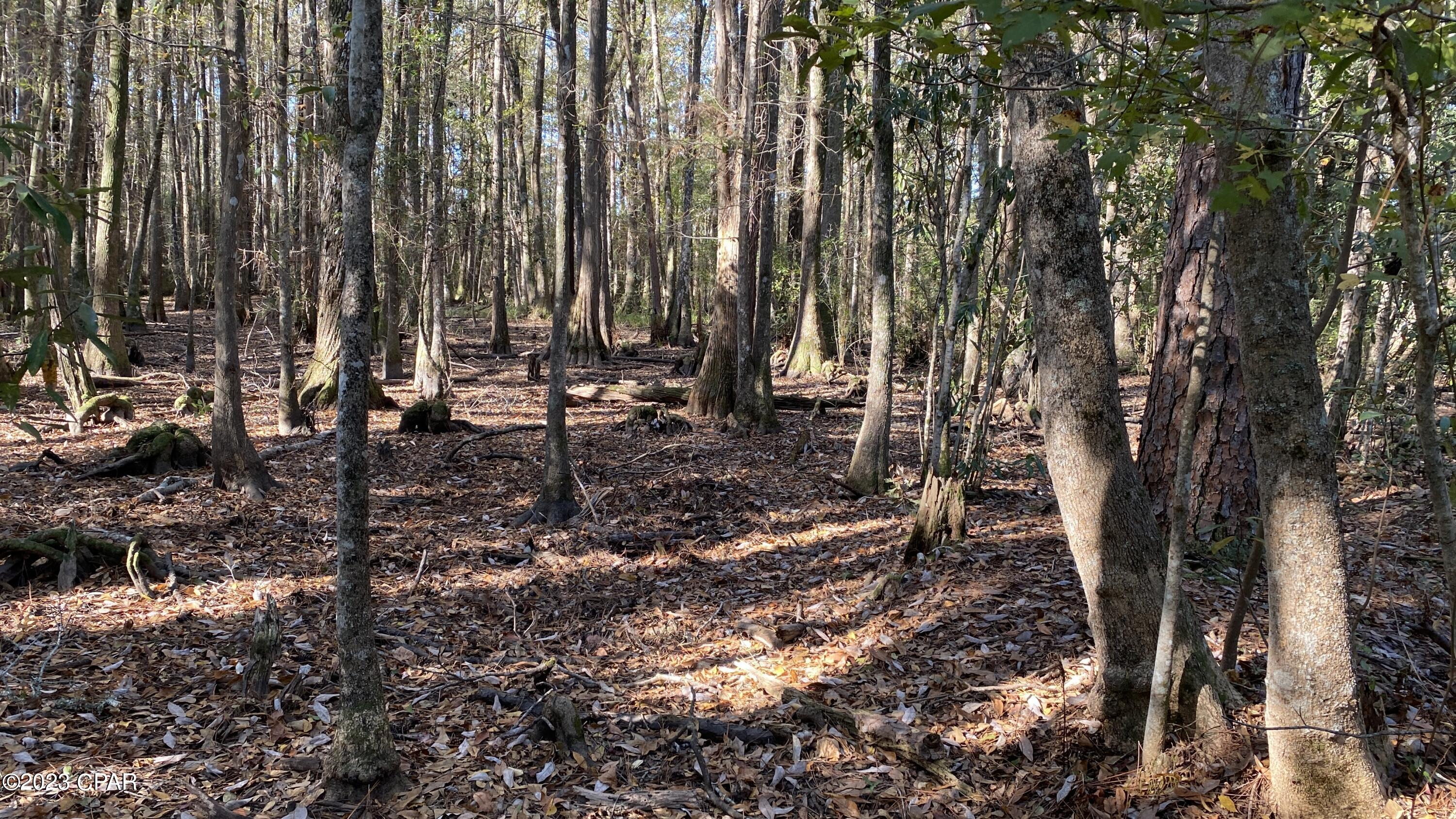 [No Recorded Subdiv] - Land