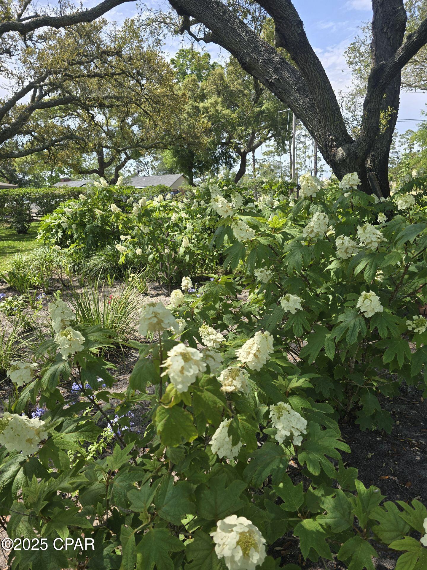 Pretty Bayou Replat - Residential