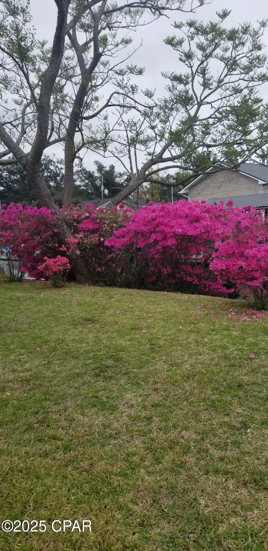 Pretty Bayou Replat - Residential