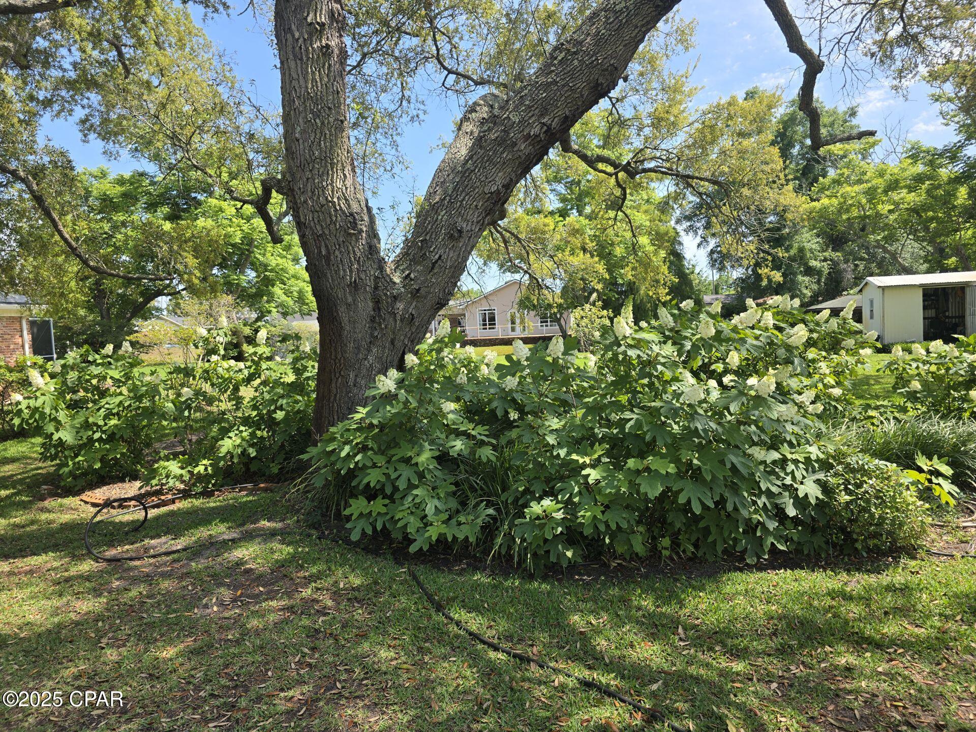 Pretty Bayou Replat - Residential