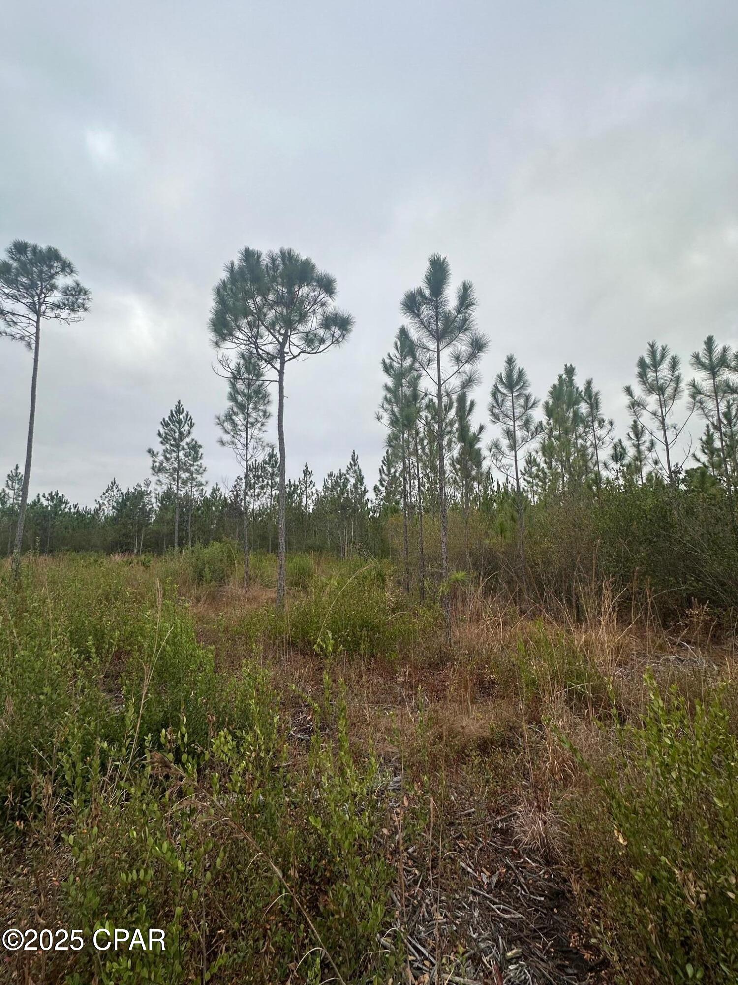[No Recorded Subdiv] - Land