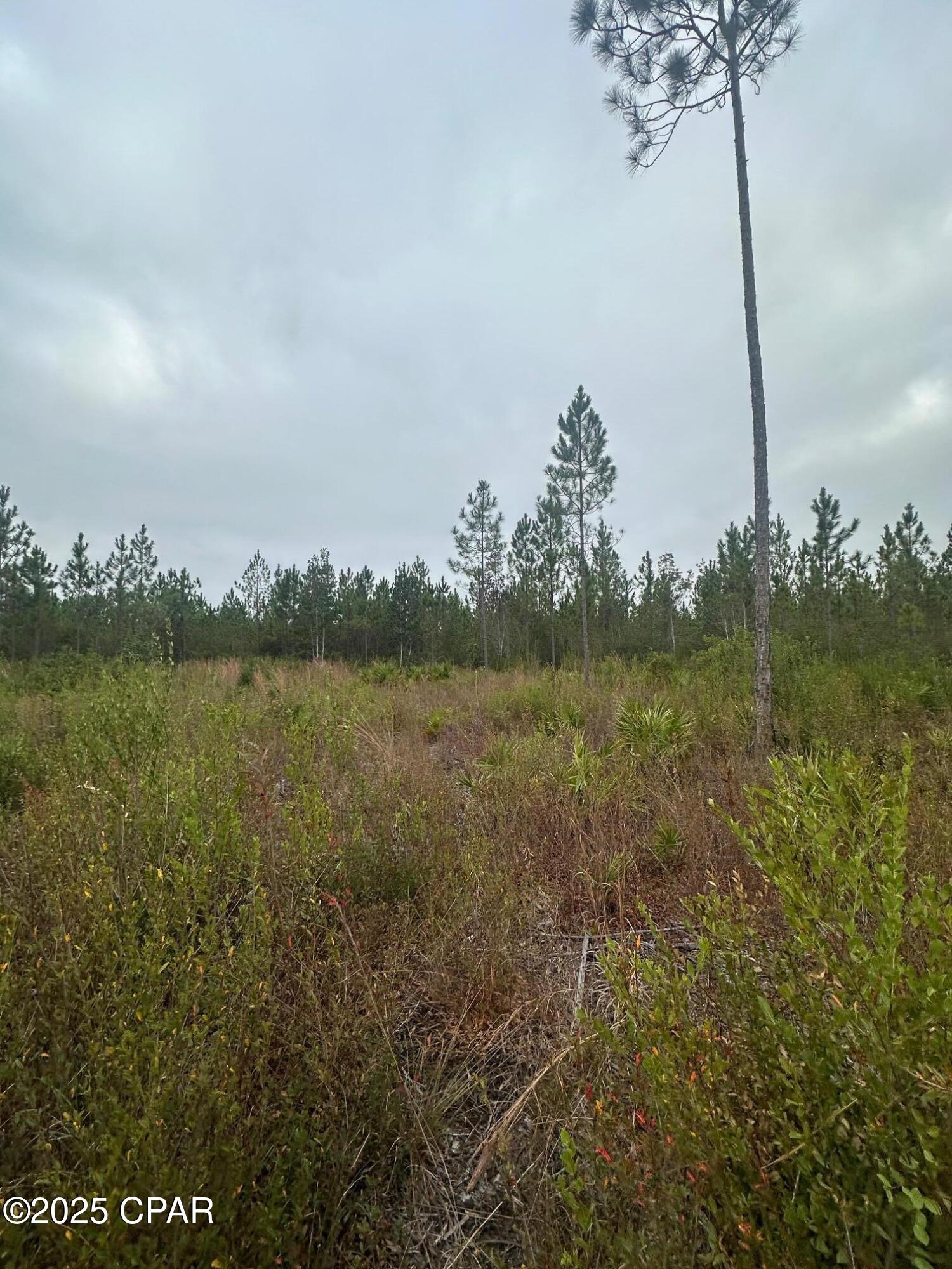 [No Recorded Subdiv] - Land