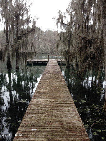 470' of WATERFRONT property located on the much desired Merritt's Mill Pond. This beautiful spring lake is generated from a magnitude 1 spring (Jackson Blue Springs) as well as several other historical springs that make up a roughly 4 mile long spring lake. This lot features a ready made dock, a cleared to the water power line easement and your very own boat landing. 8.02 acres total that reach the center of the stream that leaves about 4.86 acres above the approximate waters edge. Owner/Broker - Can divide if desired and a portion may also be seller financed. Call today before Summer comes and goes!!