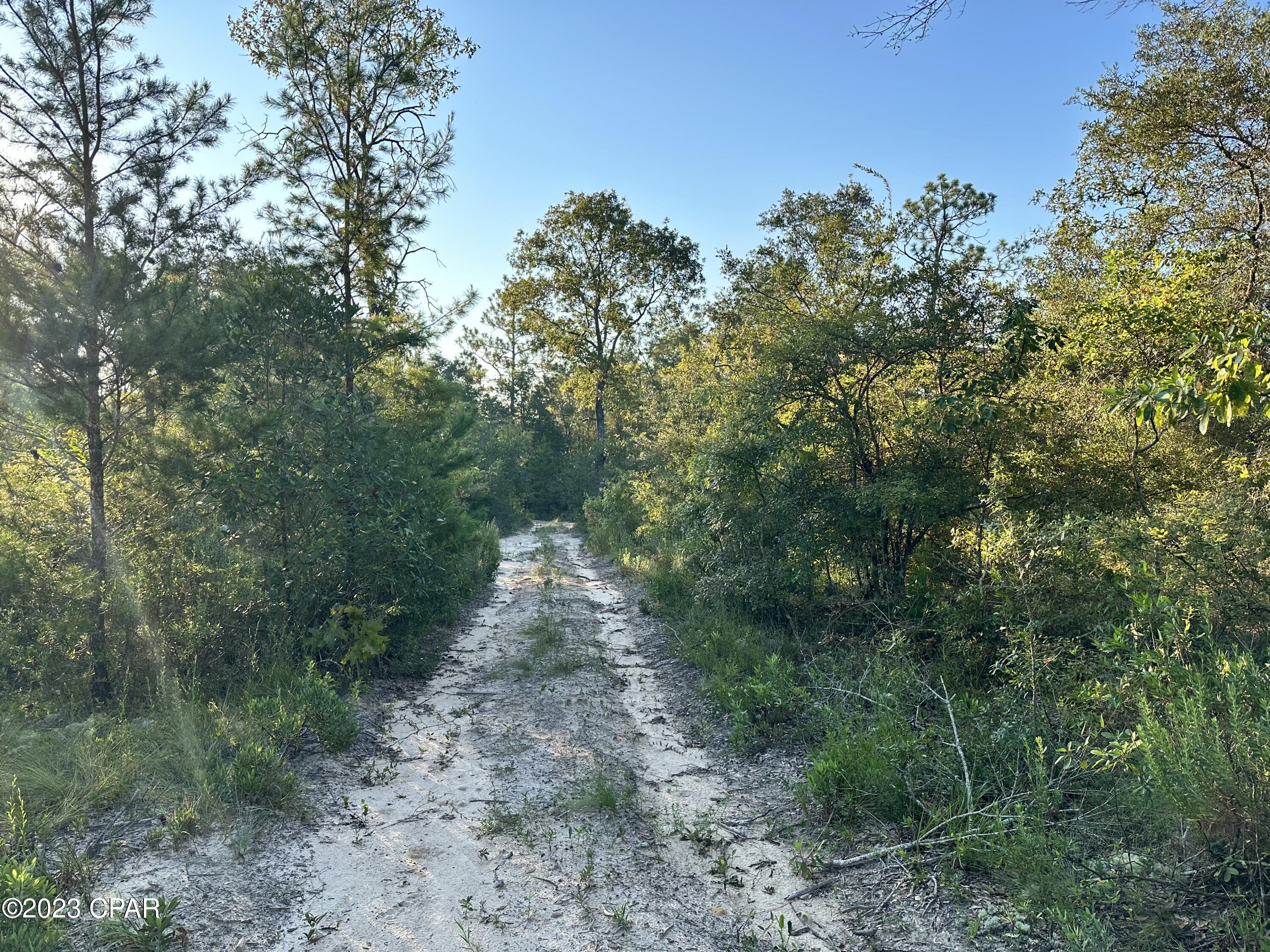 Crooked Lake - Land