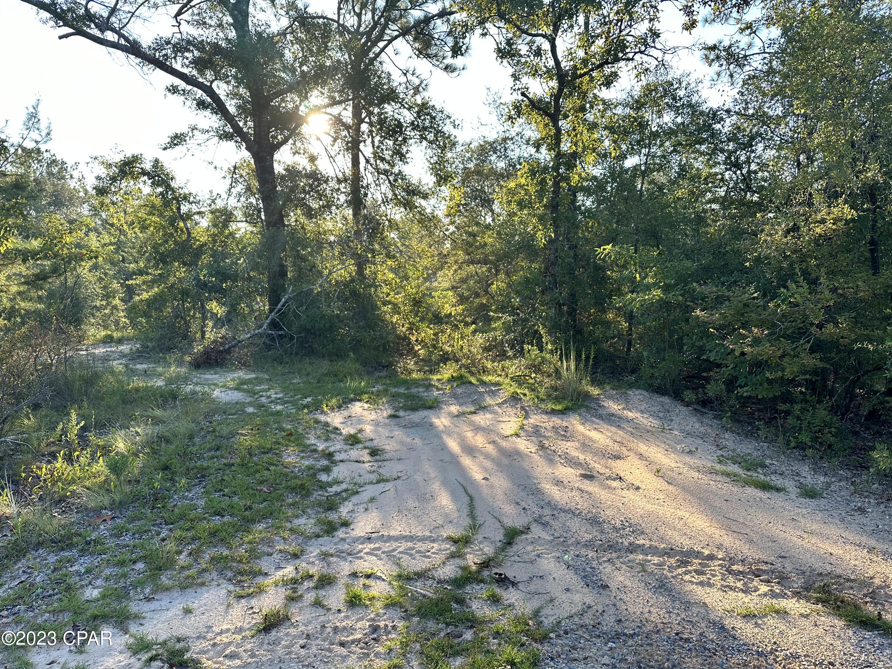 Here is your opportunity to own over an acre of land less than 45 minutes to the beach. This unrestricted lot features frontage on two roads, (Pine Log and Trailblazer) and is located on a freshly paved road. It is lot #10 in Crooked Lake Subdivision located in Southern Washington County. According to the plat map, the dimensions are 525'x100'. It is high and dry and not in a flood zone! Build your dream home or set up a mobile home on the property. The choice is yours! Here you are also close to many freshwater lakes and springs. If you like country living and the great outdoors, you will love this area! Buyer pays title policy/title fees. No survey available, but there is a plat map on record with the county, included in the listing. The neighboring lot is for sale also, buy both and have a total of 2.42 acres!