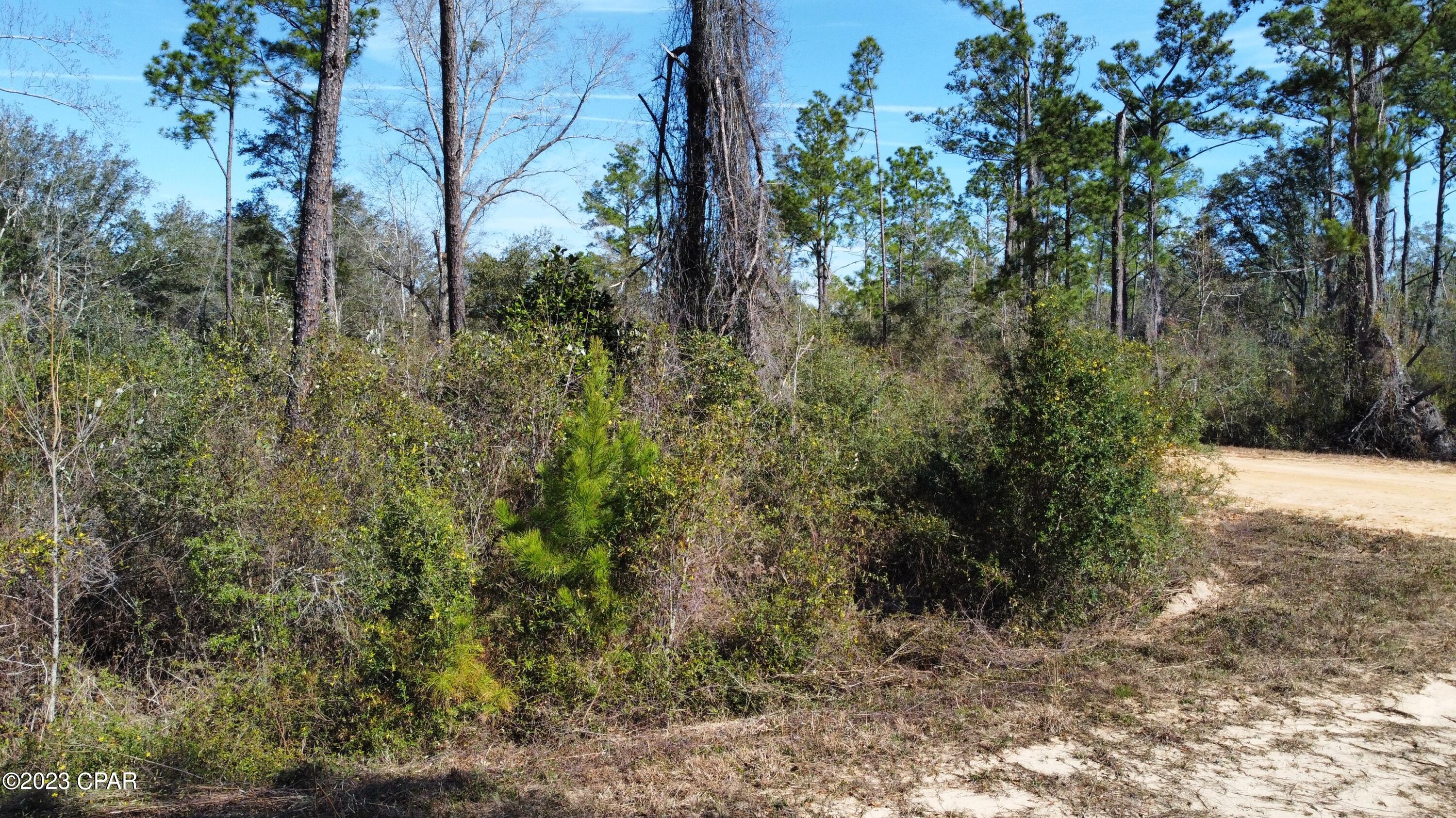 Lot 8 is a wooded corner lot. Lot 7 is being sold also. The Property owners association(POA) is voluntary. Pay the annual $125 to have access to all amenities Compass Lake Hills has to offer for it's members.



This is a deed restricted community. No mobile homes or RV's allowed.  Just a short 45 minute drive to Panama City Beaches and roughly a 20 minute drive to Marianna for shopping and restaurants.