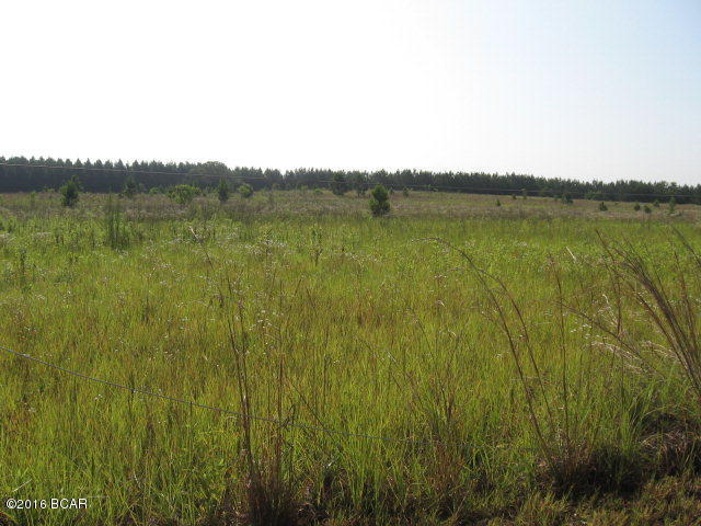 GREAT BUILDING SITE!! Secluded 20.06 acres that would make a wonderful home site. Bring horses. Enjoy peaceful nights in the midst of app. 12 acres of rolling pastures and app. 8 acres of beautiful pine trees on the back of property. Only 2 miles from Hwy 231 and 4 miles from I-10. Survey required for true boundaries.