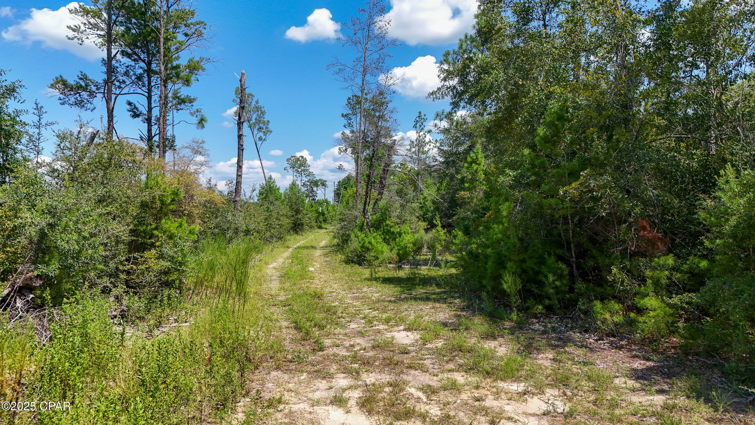 Welcome to a true hunters paradise !  Two parcels ,side by side , of ten acres each that are being sold as one . This property is full of wildlife that comes and goes , as well as , you could create food plots.  It is currently not zoned to build a residence without a development variance per Calhoun County Planning Department but is being looked at in a December 2025  hearing.  Panama City is only about 40 minutes south of this potential hunt camp.  Second parcel number 20-2N-11-0000-0004-0000 and address is NW LK LONA DR FOUNTAIN, FL 32438. Buyer and Buyer's agent to verify all information deemed important. Property details, acreage, boundaries, zoning, utilities, and land use are believed to be accurate but are not guaranteed. Buyer is responsible for conducting their own due diligence prior to closing.