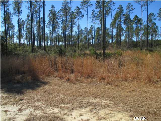 Very nice property! This 9.24 acre property is close to some of the best hunting and fishing areas in Northwest Florida. It is located 5 miles north of Wewahitchka and is just a short drive from the Gulf of Mexico. Looking to build and live in a natural Florida setting with room (acreage) to grow? Or, are you interested in hunting on your own property? This is your chance to do both.