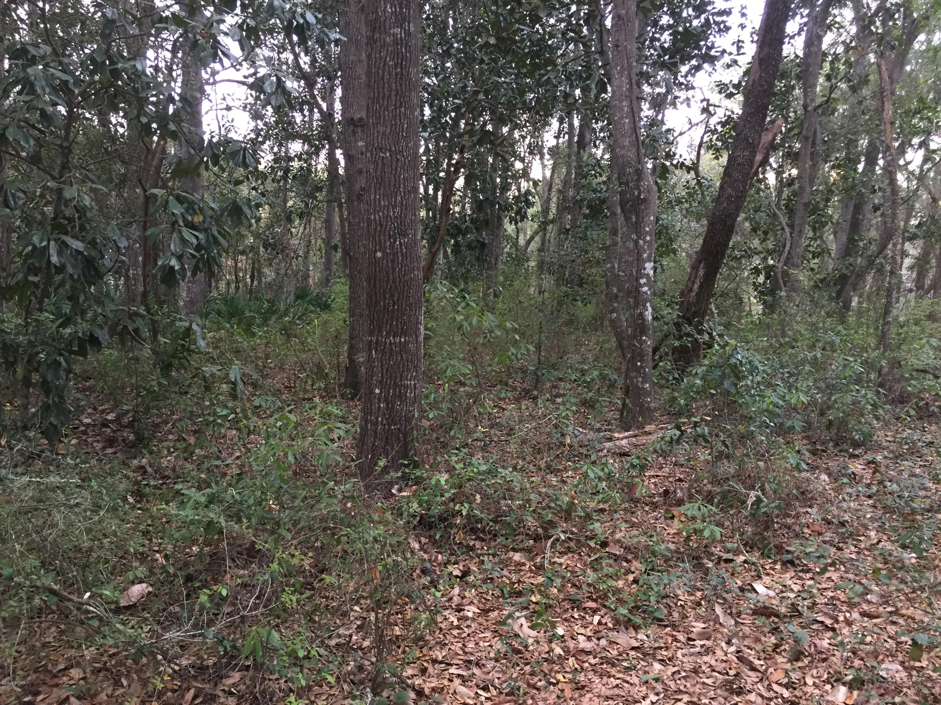 Deerpoint Estates - Land