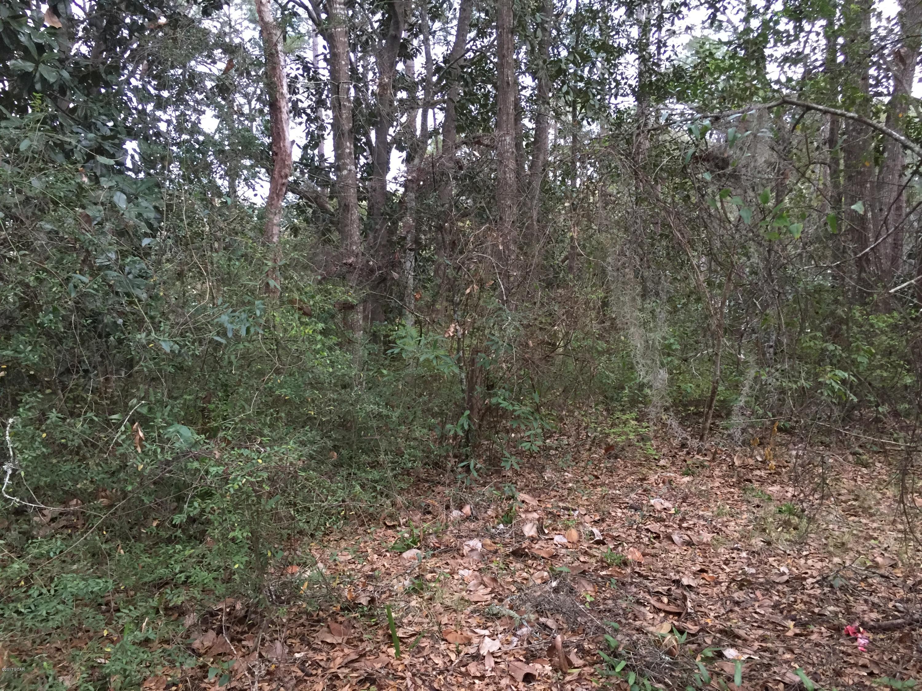 Deerpoint Estates - Land