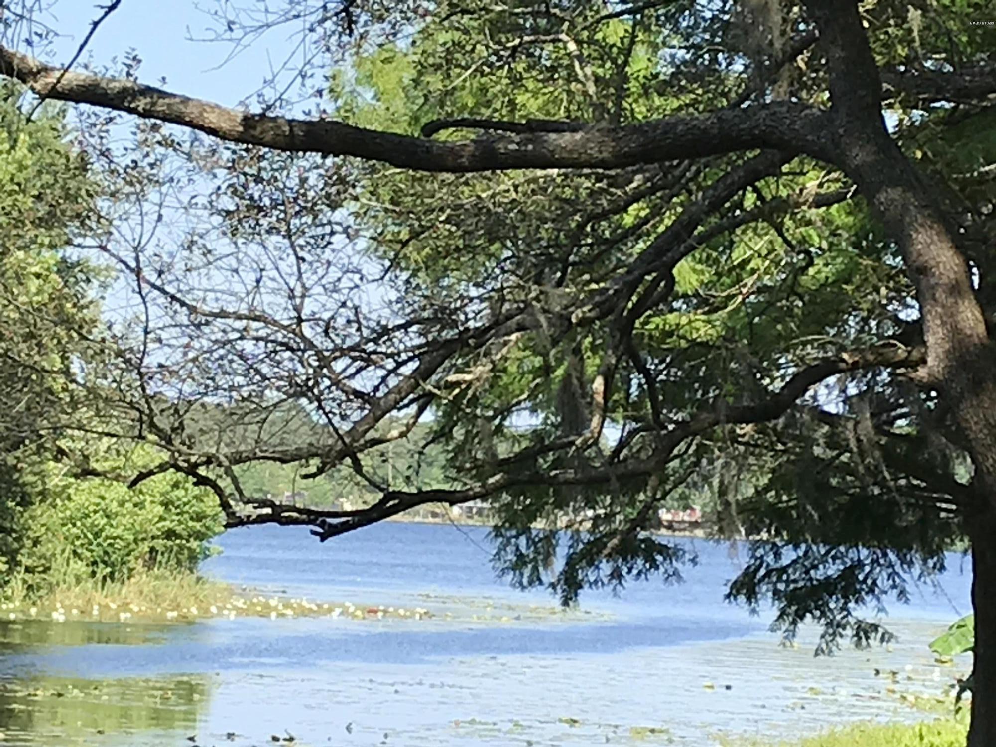 Wooded lot in Deerpoint Estates that has over 250 feet of lagoon front very close to Deerpoint Lake. Lake is visible from the property which would provide very nice views from a home. Build your dream home here and head out to fish or boat right from your backyard.