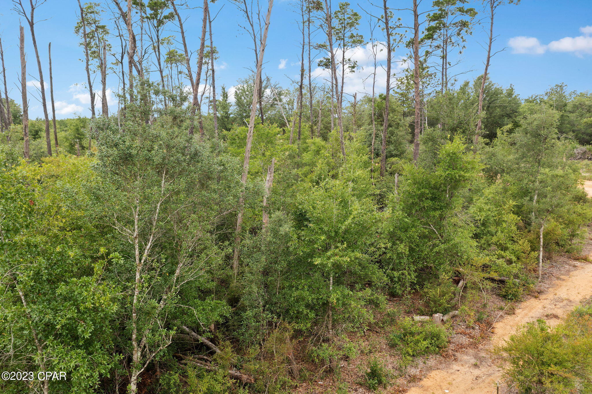 Seminole Plantation - Land