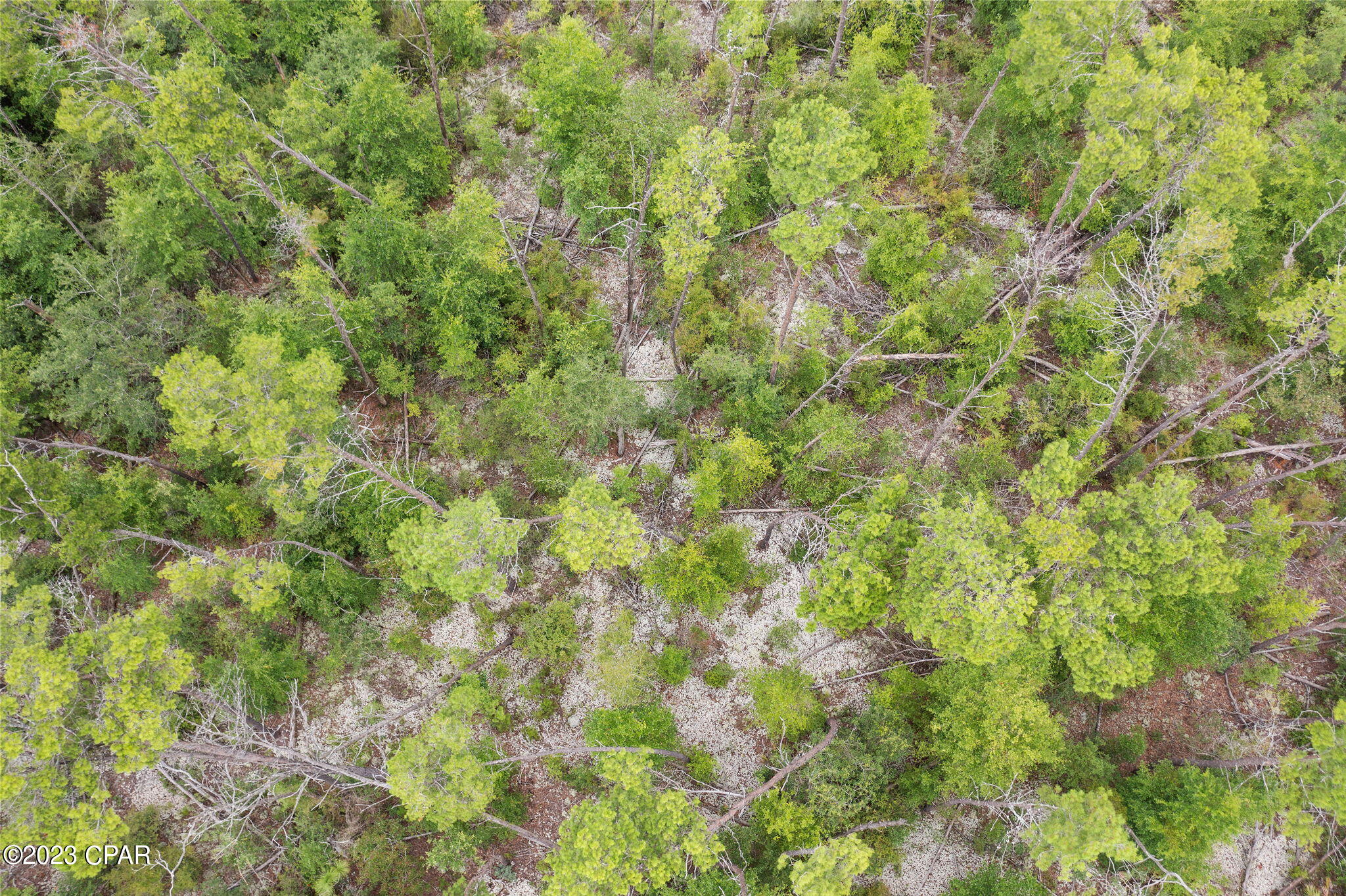 Seminole Plantation - Land