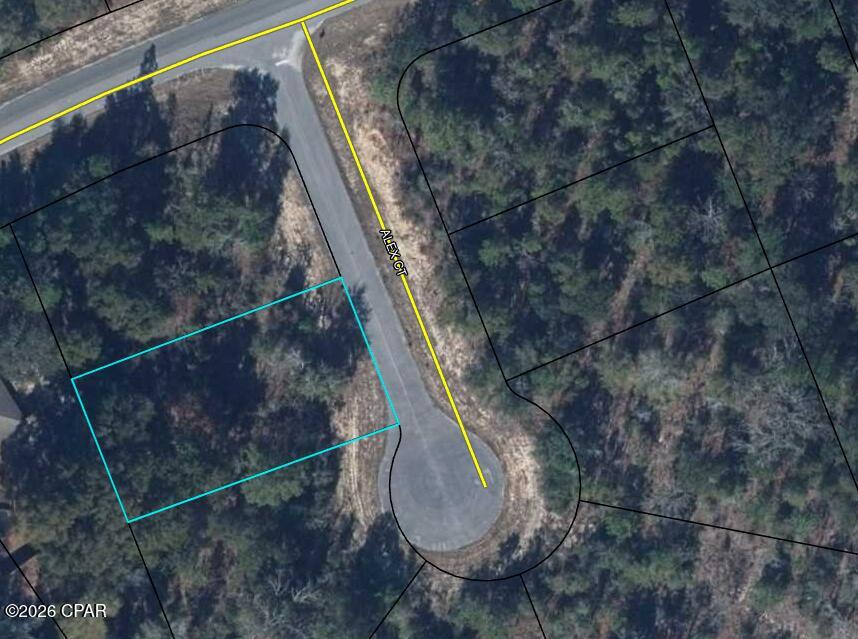 PRIME CUL-DE-SAC LOT IN SUNNY HILLS! 🌲 Discover the perfect canvas for your dream home on this beautiful, uncleared 0.28-acre parcel (approx. 12,197 sq ft) located in the established community of Sunny Hills, FL.

Tucked away at the end of a quiet cul-de-sac with only 8 total lots on the entire street, this property offers an incredibly quaint, private, and peaceful setting with minimal neighborhood traffic.

Leaving the lot in its natural, uncleared state gives you the ultimate freedom to decide exactly how much privacy you want to preserve when positioning your new home. Sunny Hills is an outdoor lover's paradise, offering access to numerous pristine sand-bottom lakes for fishing and swimming, the popular Sunny Hills Golf Club, and an easy drive north to Chipley or south to the world-class white sand beaches of Panama City Beach.

No timeline to build! Secure your piece of Florida sunshine today.

🏷️ Quick Bullet Points for Features Section:
Property Type: Land / Vacant Lot
Lot Features: Cul-De-Sac, Wooded, Quiet Street (Only 8 lots total)
Acreage: 0.28 Acres
Total Square Feet: Approx. 12,197 Sq Ft
Lot Dimensions: Approx. 82 x 150 x 80 x 150
Zoning: Residential Single Family
HOA: None
Location: Sunny Hills Community (Washington County)

Schools: Kate M. Smith Elementary, Roulhac Middle, Chipley High School (Zoning to be verified by buyer)