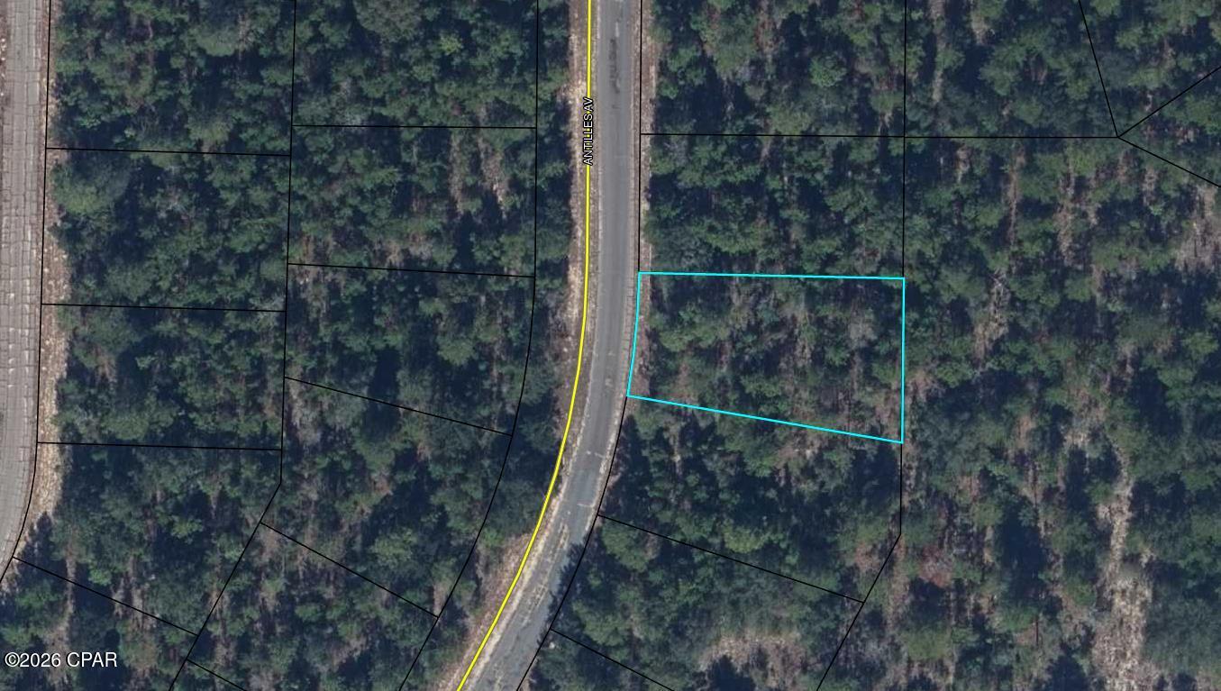 Building lot in the rapidly growing community of Sunny Hills. This is a deed restricted (no mobile homes) community with no HOA. Located approximately 25 miles north of Panama City and 18 miles south of Chipley. Sunny Hills features a popular and affordable 18 hole public golf course and numerous fishing lakes. There are several major builders working in the subdivision to accommodate the growth pushing north out of Panama City. Great opportunity to invest in the future of the Florida Panhandle.