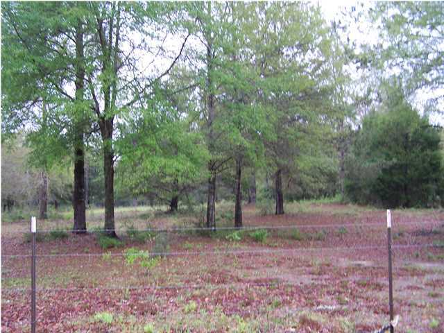 This surveyed 5.6ac tract is fenced and cross fenced. It was cleared for pasture but yet many trees are remaining for shade and beauty. All the land is high & dry and would make a PERFECT home site.