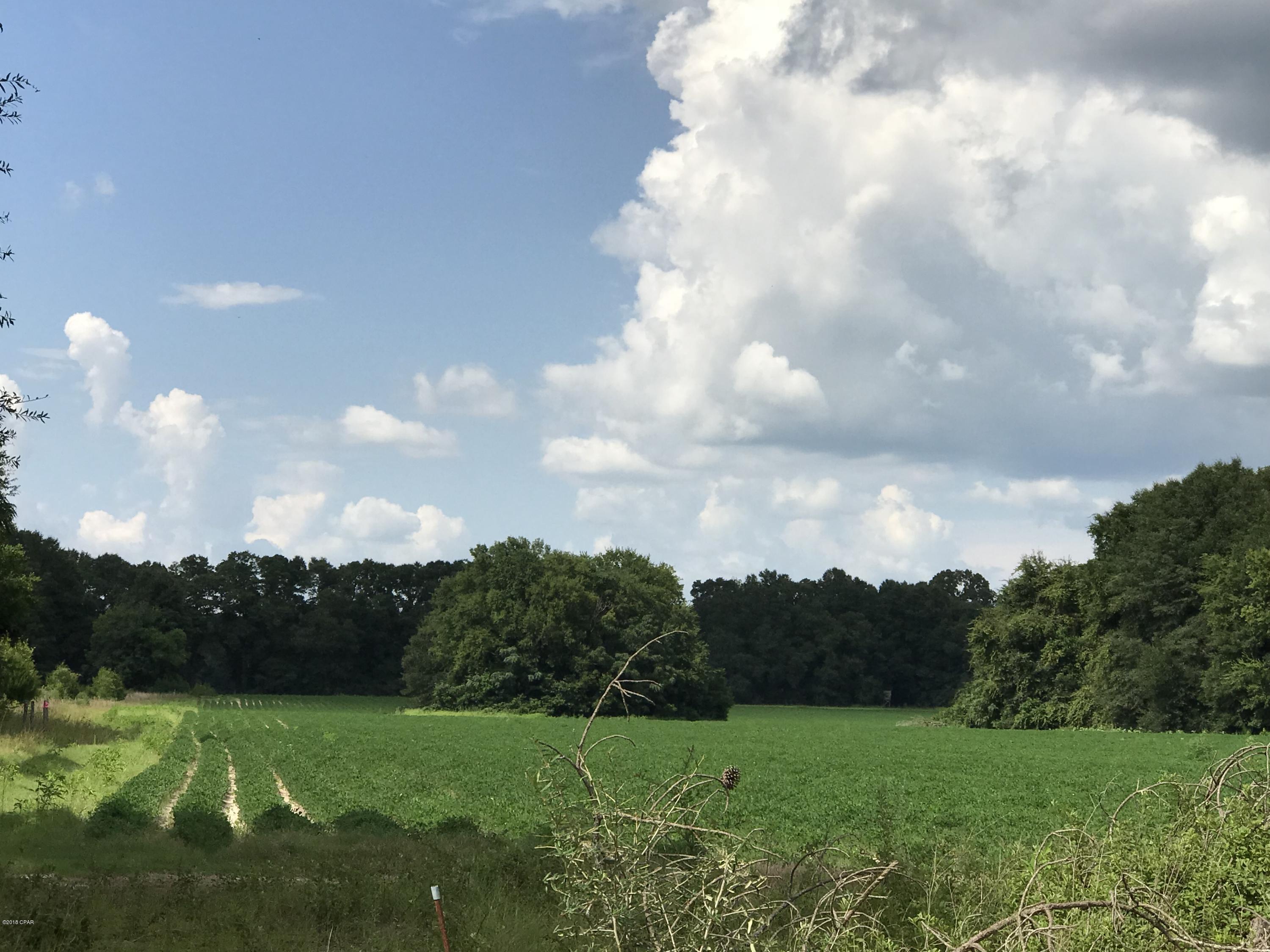 No Named Subdivision - Land