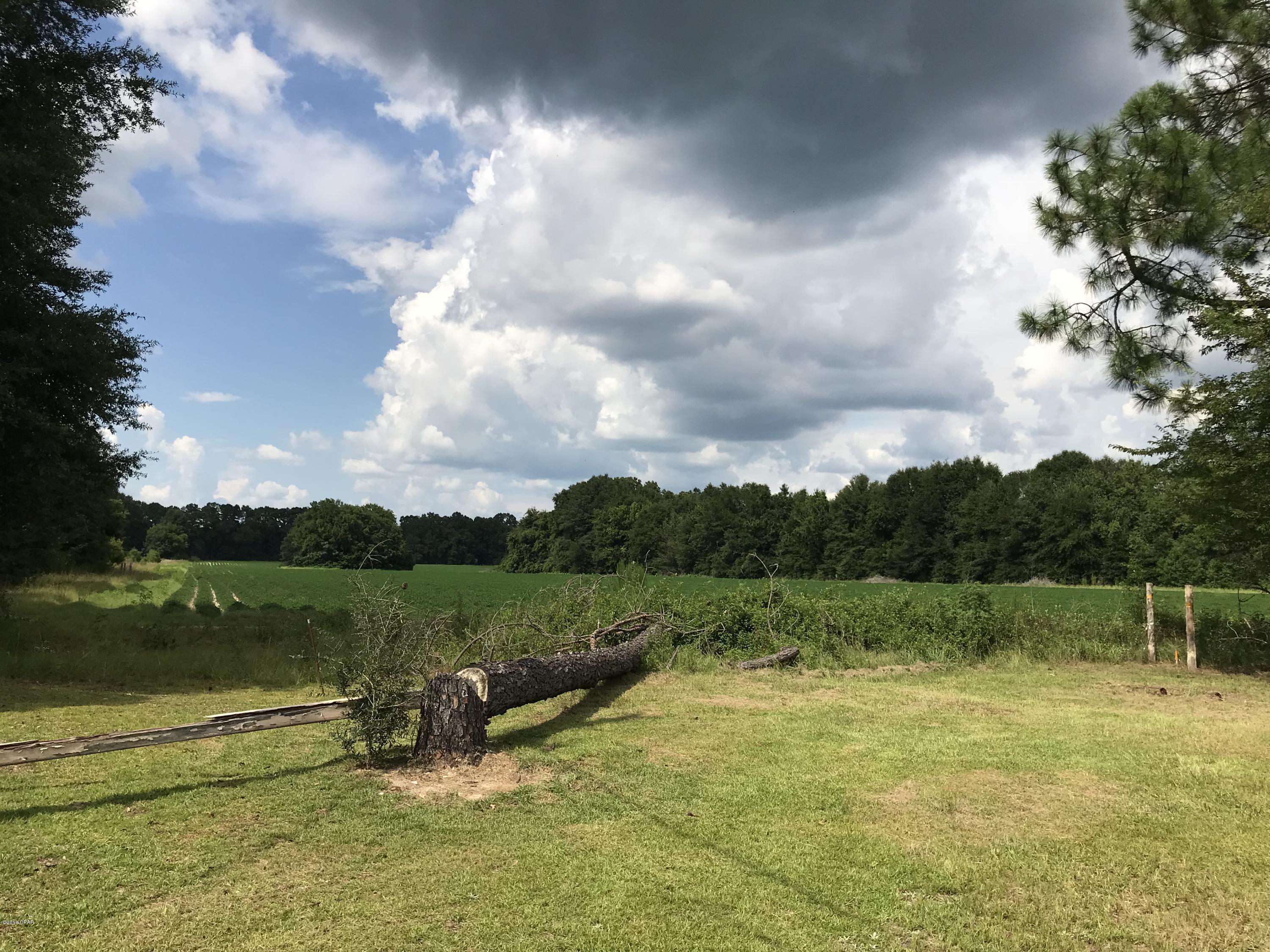 21.4 acres MOL that is currently being leased as Farmland.  Located just outside the city limits of Greenwood, Fl.  Great land for building your dream home or it could be income potential for farm lease or planting crops yourself.  Farm is leased until the end of the crop year.  New buyer would need to honor lease.

Seller is in the process of obtaining an easement to this property if home in front of land is sold before the land sells.

Seller is also offering a 3BR/2 bath home on 1.0 MOL acres with this property for a combined total of 22.4 acres & a home for $ 139,500.  See MLS # 674968.