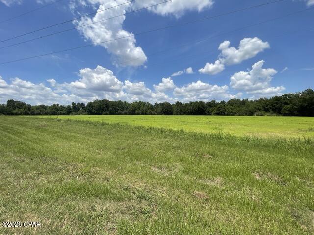Bring your horses! If you've been looking for beautiful and unrestricted land with space to build, grow, and enjoy the outdoors, this 10 ± acre property in Jackson County, Florida offers just that. Located just 1.3 miles from Hwy 273, the property features approximately 950 feet of paved frontage along Peanut Road.
The entire property offers cleared pasture, giving you open views and immediate usability. Whether you envision horses grazing, a few head of cattle, or simply a wide backyard for family gatherings, the pasture is ready. The remaining acreage is a natural mix of timberland, adding shade, privacy, and that unmistakable North Florida character. The property is high and dry with multiple ideal homesite locations. 
Although you experience a quiet country setting here, you're just 1.3 miles from Hwy 273 and only 4 miles from Graceville, keeping nearby towns, schools, shopping, and everyday services within easy reach. It gives you room to spread out and enjoy your privacy, without feeling too far from the things you need day to day.
This property is first and foremost a place to build a home and put down roots. It offers room to grow, room to work, and room to enjoy the outdoors. At the same time, well-located acreage with pasture, timber, and road frontage continues to hold steady long-term appeal in North Florida. Whether you're ready to build now or planning ahead, this breath-taking property offers a welcoming foundation for both lifestyle and long-term land ownership.  Contact us today for a private showing of this beautiful property! 
Key Features
• 1.3 miles to Hwy 273
• 4 miles to Graceville
• 10 ± acres cleared pasture
• Abundant wildlife
• High and dry with multiple homesite options
• Suitable for horses, cows, or small-scale farming
