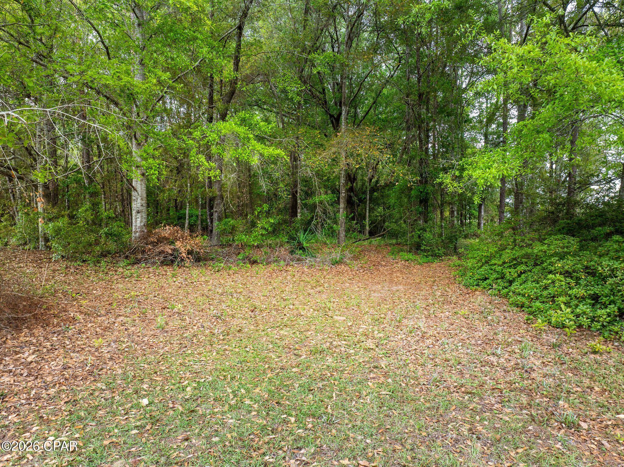 Dogwood Lakes - Residential