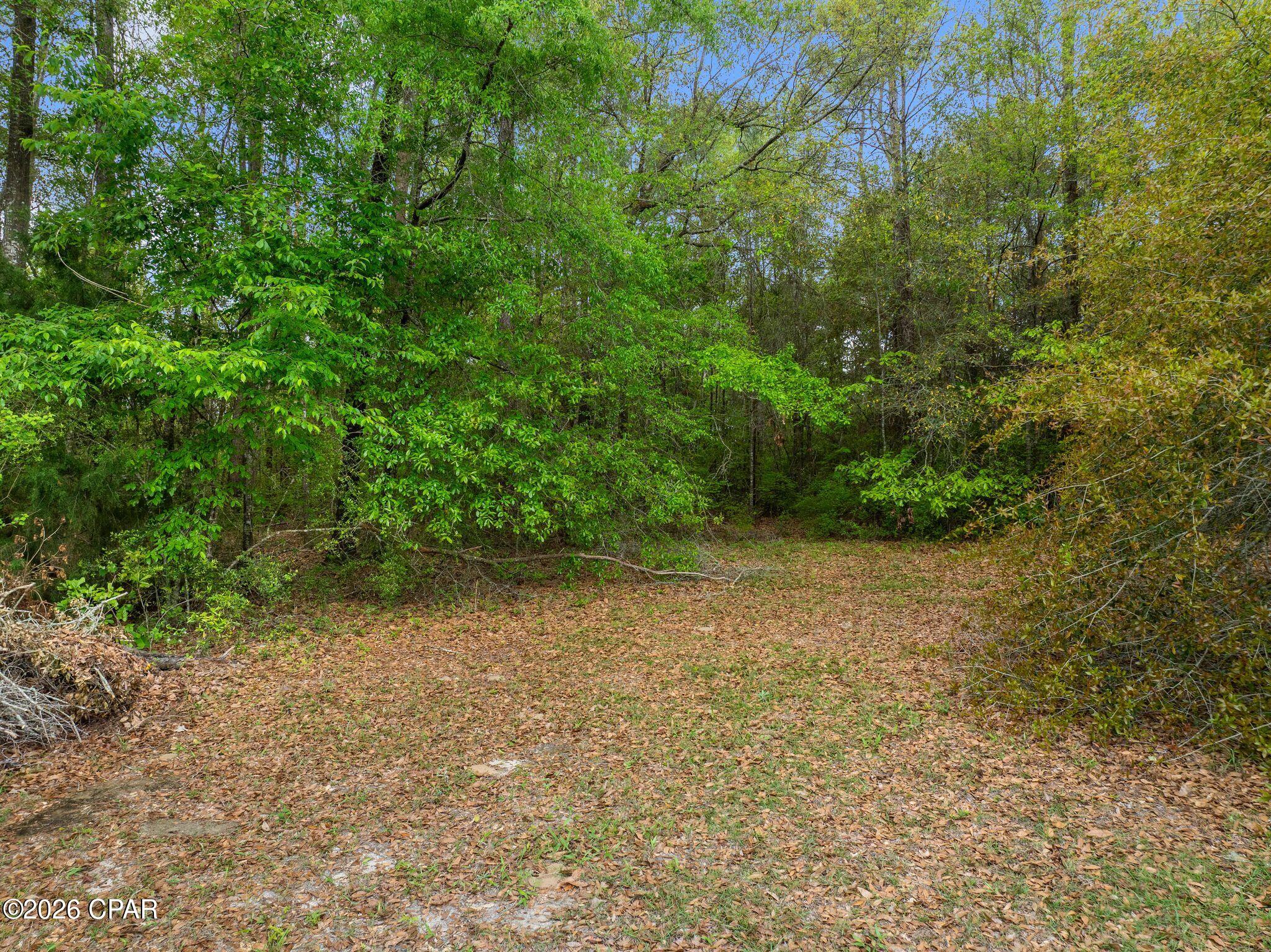 Dogwood Lakes - Residential