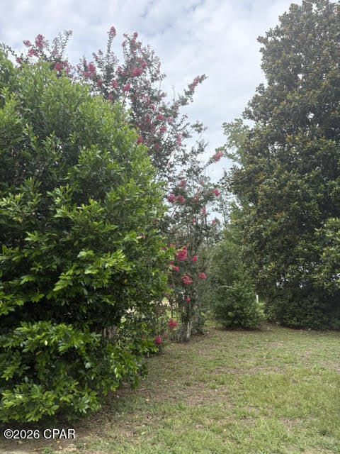 Chipola River Estates - Residential