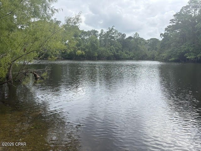 Chipola River Estates - Residential