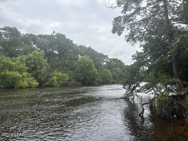 Chipola River Estates - Residential