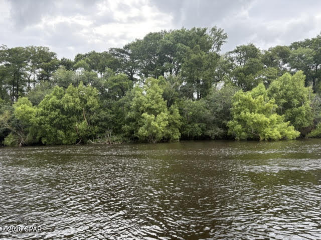 Chipola River Estates - Residential