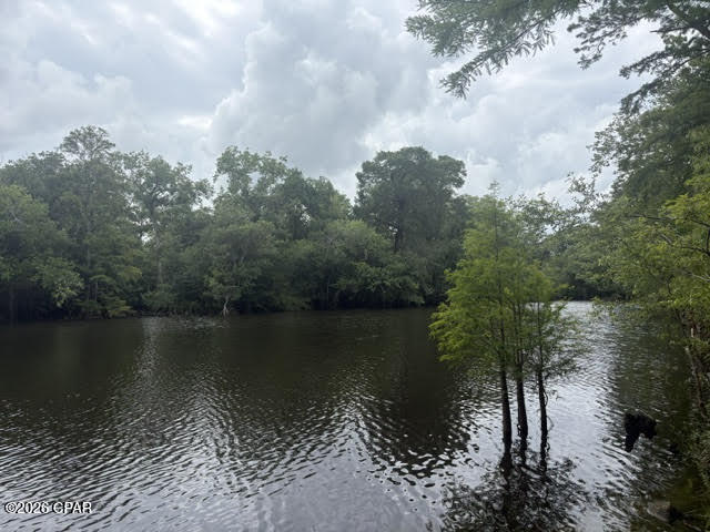Chipola River Estates - Residential