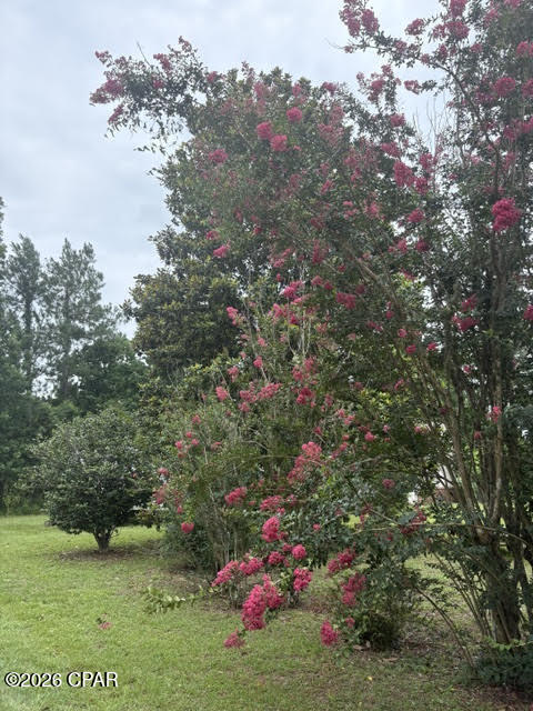 Chipola River Estates - Residential