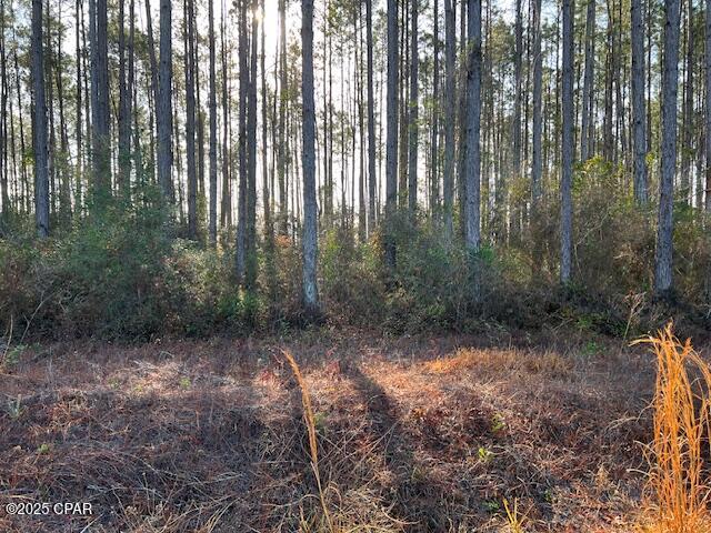 Chipola Landing - Land