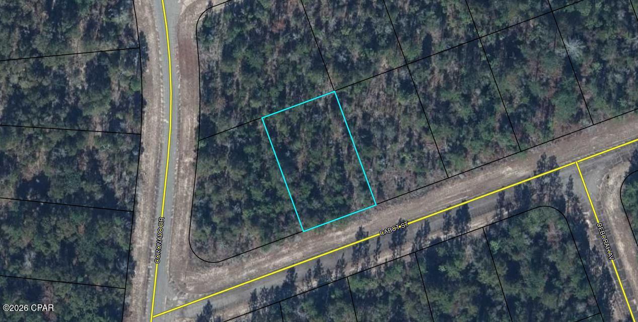 Looking for the perfect place to build? This residential lot in the Sunny Hills community offers a great opportunity to create your ideal home. Enjoy nearby lakes, parks, golf, and the natural beauty of Northwest Florida while still being within driving distance of Panama City and the Gulf Coast beaches. Whether you're looking to build now or invest for the future, this property is worth a look!